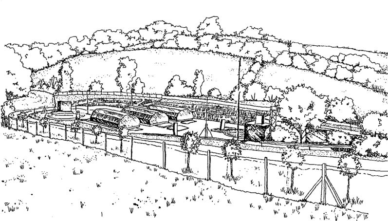 Illustration by Lydia Williams for the Stroud Urban Wetlands Project 1993